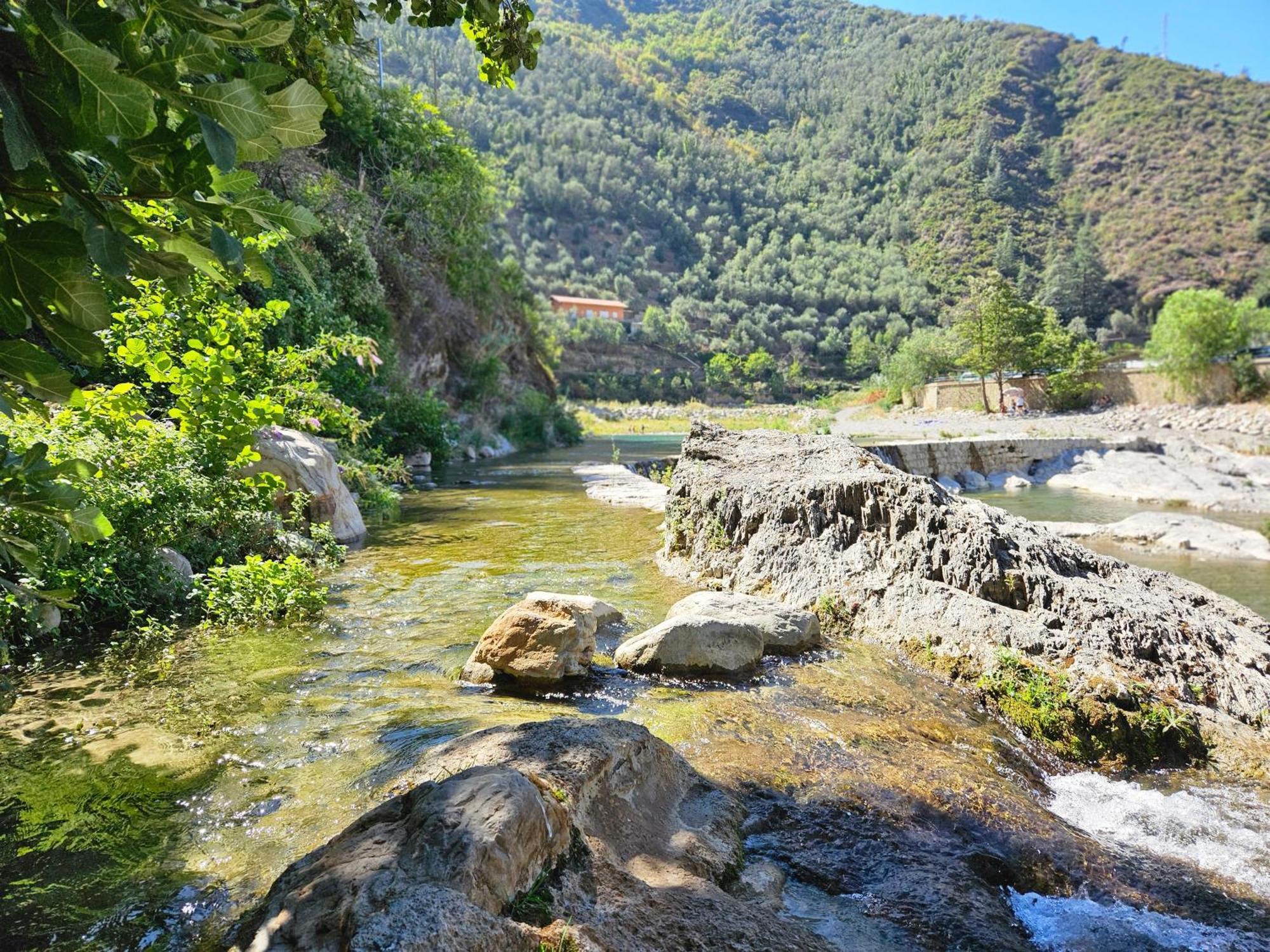 Sweet Home Badalucco 10 Min Dal Mare 4 Persone المظهر الخارجي الصورة